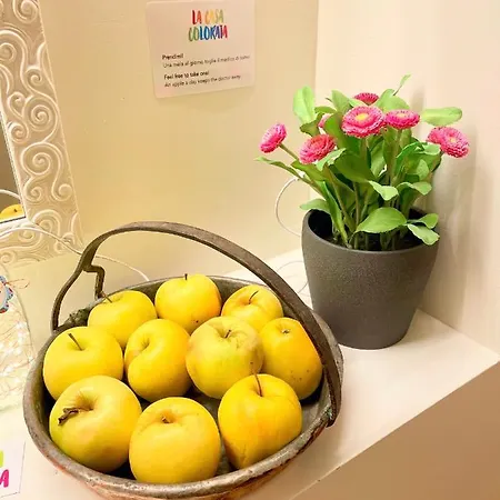 Διαμέρισμα La Casa Colorata - Flats In - Bocconi *